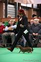 Crufts2011_2 1482